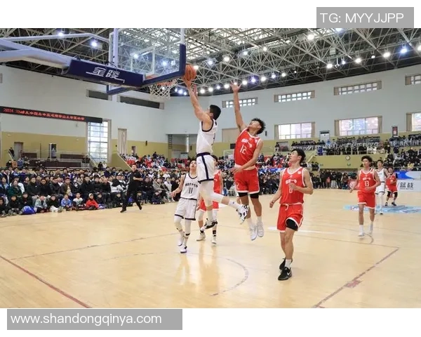 11月1日八一男篮迎战青岛队期待精彩对决与球迷共庆篮球盛宴 11月1日八一男篮迎战青岛队期待精彩对决与球迷共庆篮球盛宴