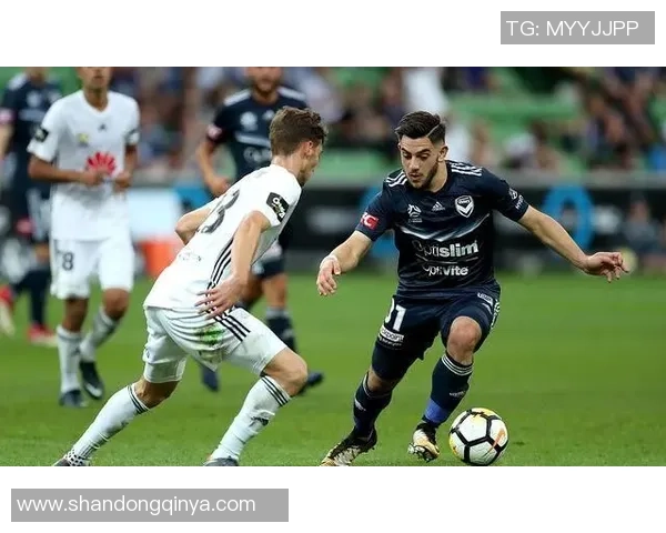 博塔弗戈与沙佩科排名分析及近期表现对比 博塔弗戈与沙佩科排名分析及近期表现对比