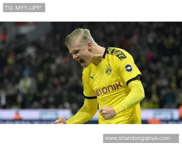 费内巴切与圣彼得堡的巅峰对决谁能笑到最后